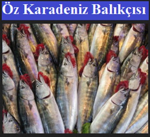 Öz Karadeniz Balikcisi    Inhaber: K. Kazar
