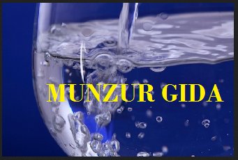 MUNZUR GIDA GmbH